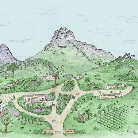 Rozendal Stay Stellenbosch Eksteriør billede