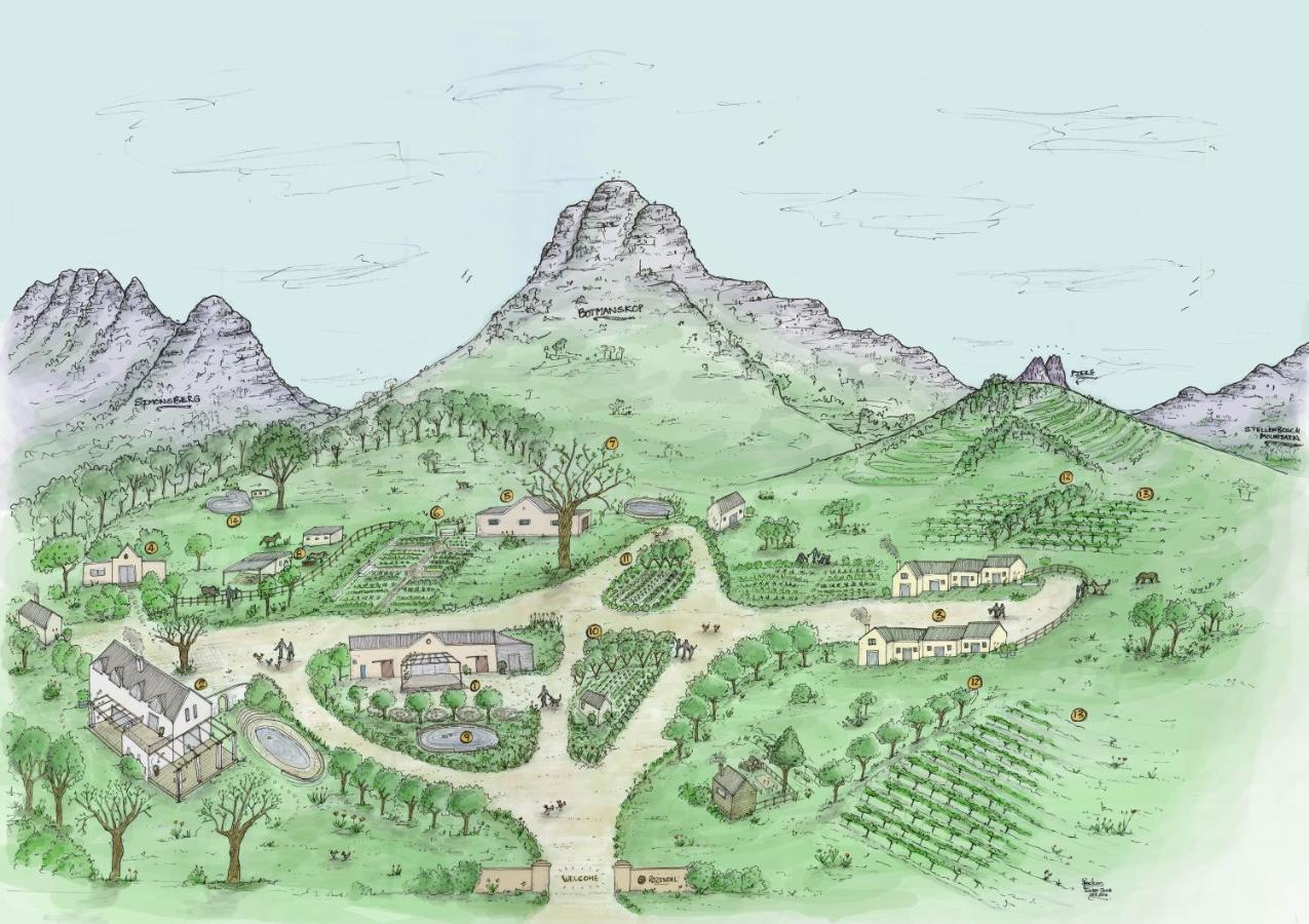 Rozendal Stay Stellenbosch Eksteriør billede
