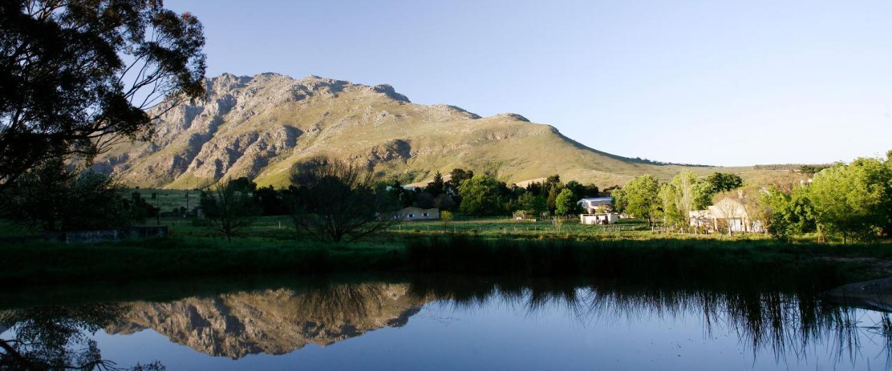 Rozendal Stay Stellenbosch Eksteriør billede